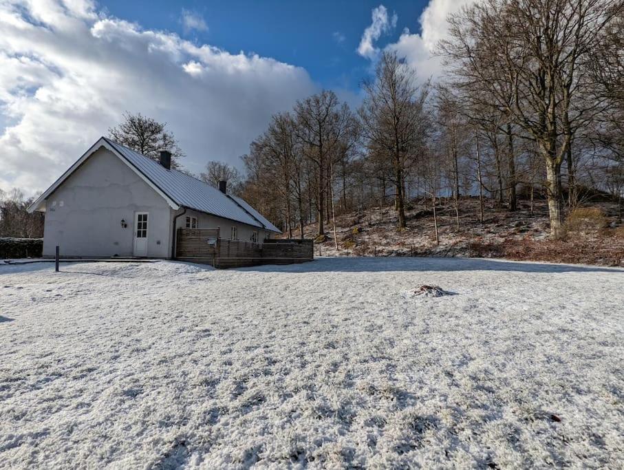 Beautiful And Cosy House Near The Lake Olofström Zewnętrze zdjęcie